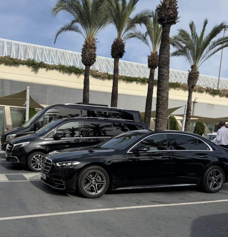 Black Mercedes-Benz saloons and V-Class parked beneath palm trees.