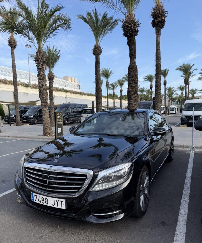 Black Mercedes-Benz S-Class parked along a palm-lined road.